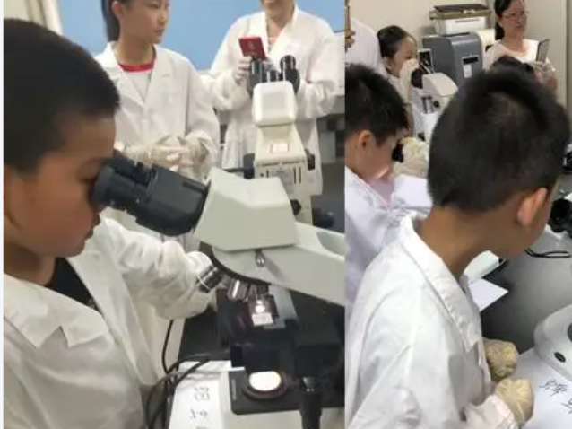 当中的讲堂经过光纤直达讲堂当名师在“专递讲堂”上为乡村孩子答疑